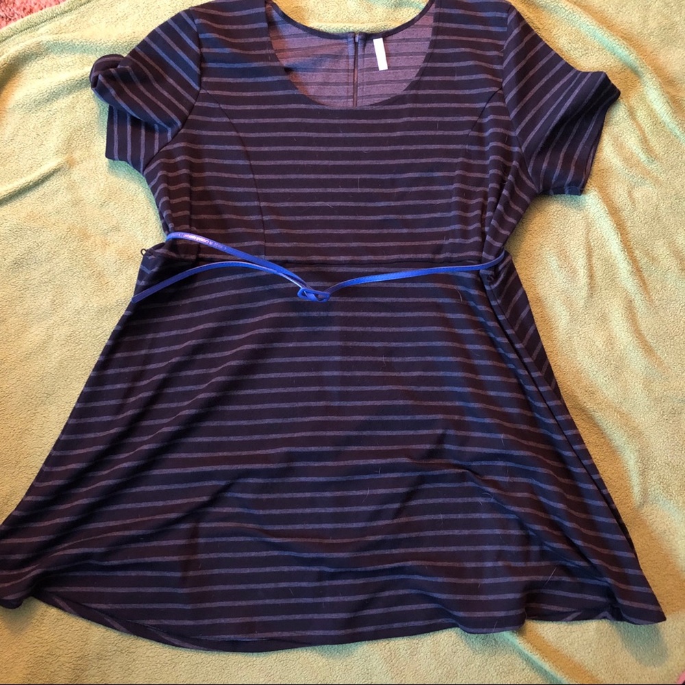 Plus Size Skater Dress